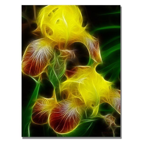 Kathie McCurdy 'Yellow Iris' Canvas Art, 18x24, Trademark Fine Art, Mfr#: KM0206-C1824GG